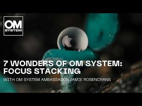 The 7 wonders of OM SYSTEM: Focus Stacking