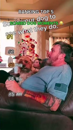 Top 5 DRAMATIC Dog Jump-Scares😂🐶Bro these dogs got scared for NO reason 😭💀 #funny #dogs #cute