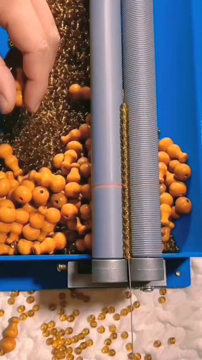 Sorting Machine Process: Beads and Pellets Demonstration
