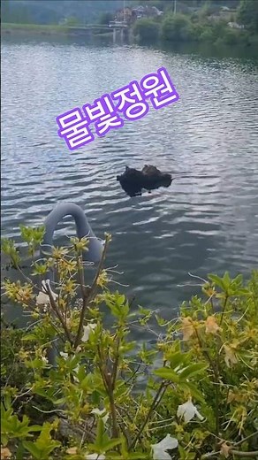 #물빛정원#강문경#순정#