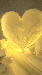 Winter Nights ❄️ | Travel magazine