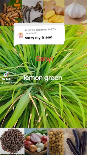 Understanding Blood Types and Their Importance