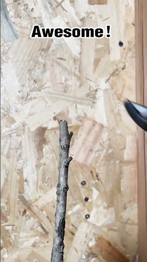 WORKPRO Tools Review 🔩 Best for Gripping & Cutting Tasks!