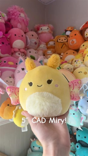 Huge Squishmallow haul! #squishmallows #shorts #viralshort