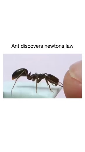 Melissa Church on Instagram: "Newton's three laws of motion describe the relationship between an object's motion and the forces acting on it. The first law states that an object at rest stays at rest, and an object in motion stays in motion with the same speed and in the same direction, unless acted upon by an unbalanced force. The second law states that the acceleration of an object is directly proportional to the net force acting on it and inversely proportional to its mass (F=ma). The third l