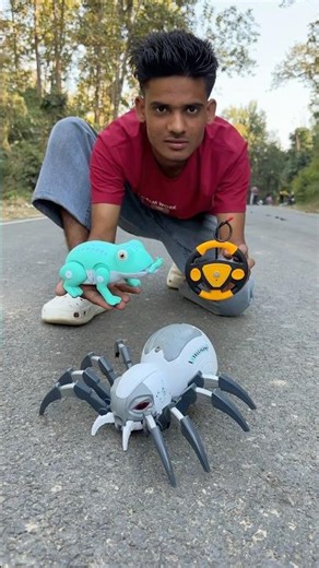 Battery operated Frog Vs Remote Wala Spider Unboxing 🔥