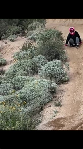 la.ahhra (@la.ahhra)’s videos with sonido original - 🅲︎🅷︎🅰︎🆁︎🅻︎🅴︎🆂︎