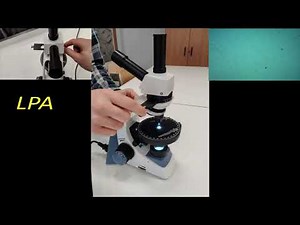 Utilisation microscope polarisant - Lycée Charlemagne