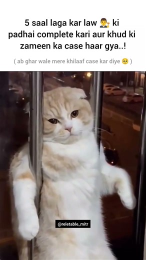 law ka student 👨‍⚖️ #aesthetic #brokenheart #lofichill #lofimusic #memes #sadquotes #thoughts