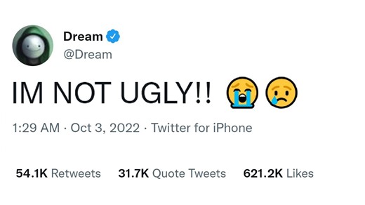 Community Reactions to a Popular Minecraft Creator’s Face Reveal