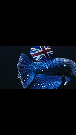 This Fish Looks Like Australia 🇦🇺😳