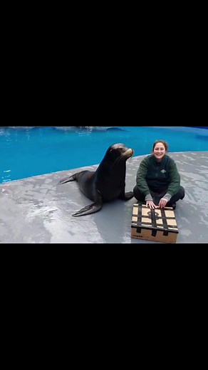 3.5K views · 57 reactions | Combe Martin Wildlife and Dinosaur Park on Reels | Facebook