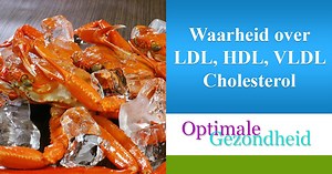 Alles over LDL, HDL, en VLDL Cholesterol