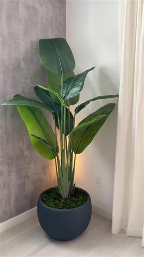 They look real. They feel expensive. But they’re not. Tap below to discover high-end artificial plants! | Smart Picks Daily