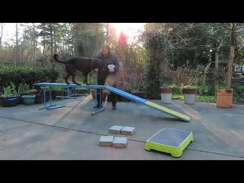 2026-March-21 - Heizelwood Winter - straight fronts and stationary commands