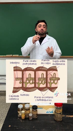 Resumão de BIOLOGIA para o ENEM - ANELÍDEOS Parte 01 Hoje, vamos explorar as características gerais dos anelídeos que envolvem Metameria, Sistema Circulatório Fechado e Celoma. Descubra como a segmentação corporal diferencia esses animais de outros vermes e permite uma anatomia muito mais complexa e eficiente. O resumo perfeito para gabaritar Biologia no ENEM! 🪱📚 #biologiaenem #biologia #anelídeos #profmateus #STEMtok