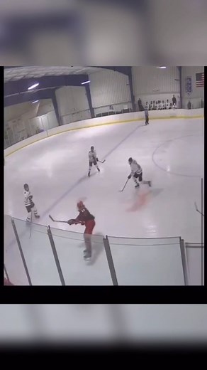 Crosscheck Hockey on Instagram: "What's The Call Here? Follow us @crosscheckhockey"