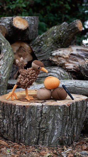 Are you ready to crochetalong and make a little Jenny the Wren this autumn? Starting 1st-5th September you’ll need 75g DK yarn (shown here in Camel, Fudge and Apricot), a 3mm crochet hook, a ruler to measure your tension, snips and a wool needle for your ends, and of course the pattern whether you prefer digital or postcard as part of a complete kit box. Jenny the Wren is also one of the bonus patterns for the new edition of Edward’s Menagerie BIRDS book, so if you bought your copy directly from