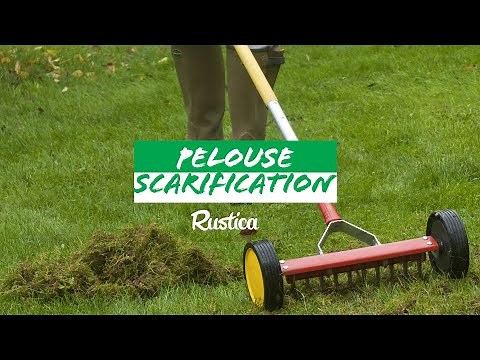 Comment scarifier la pelouse