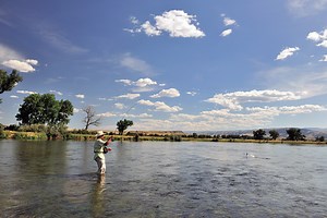 Back to the Bighorn River - Fly Fisherman