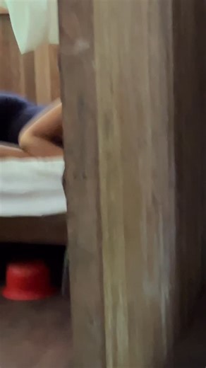 El hermoso video que captó mi Lili mientras yo dormía. Los tocones son mis monos diurnos favoritos🐒. Además de ser bellos, son nuestro despertador… en las mañanas cuando el sol ilumina las copas de los arboles, los tocones ríen a carcajadas de felicidad☀️… ríe una familia desde un árbol y le responden las otras familias🙊🙉🙈🐵🐒 Vea el video hasta el final para ver a una mama tocón con su criíta🫀🐒❤️ | Raquel Freire