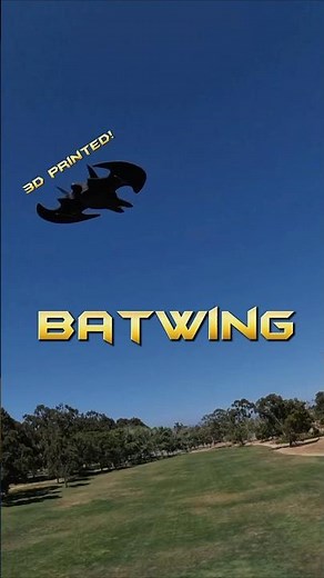 The Batwing Flies! #batman #rc #3dprinting