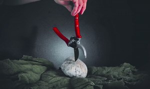 Pruning Shears Spring Replacement (2-Pack) by Pro Pruner – Universal Stainless Steel Volute Springs, No-Rust, Heavy-Duty, Fits Most Garden Scissors/Hand Pruners