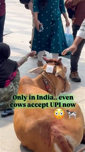 Only In India,Cow With QR Code for Donations😳🐄 #ytshorts #madeinindia #digitalindia #cow #donation