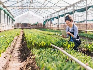 PepsiCo Ventures Group: Accelerating startups through the Nutrition Greenhouse