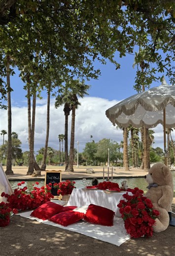 Exciting Gender Reveal Ideas for Your Next Picnic