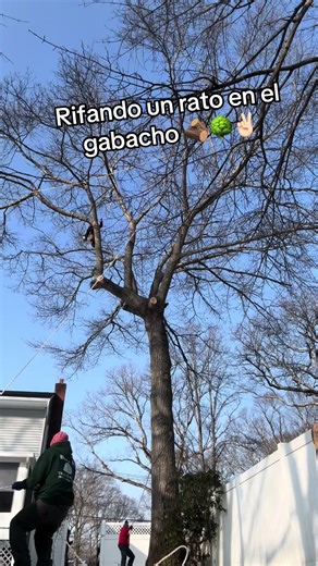 Alex Martinez Martin (@alexmartinezmarti2)’s videos with sonido original - 👑ᎬᏞϴᏟᎻϴᎷႮՏᏆᏟ👑