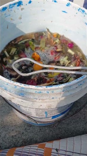 homemade kitchen scraps liquid fertilizer.