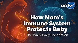 VIDEO: Reproductive Immunology