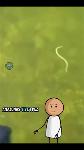 El famoso candiru y su aterradora historia 🪱 #videoviral #parati #fyp #datoscuriosos