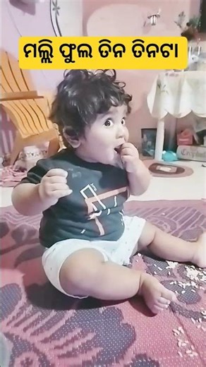 ମଲ୍ଲି ଫୁଲ ତିନ ତିନଟା 😘🥰 #shortsfeed #malifulatintinta #odiasong #odia #sambalpurisong #sambalpuri