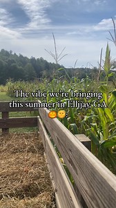 Something about summer in Ellijay, GA, just feels… strange and offbeat! 🌞👽✨ With all things wooded, weird, and just a little haunted, we’ve always believed Ellijay was made for a spooky kind of summer. Think haunted trails that come alive at twilight, cabins tucked deep in the trees, and lakefront beaches perfect for telling ghost stories under the stars.🎃 The recent Summerween trend has us dreaming of pumpkin patches in July, scary movie nights in cozy Ellijay cabins, and local legends just 