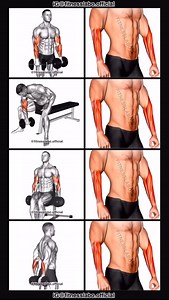 ✅ Forearm Exercises using Dumbbells ① Dumbbell Rotation ② Reverse Concentration Curl ③ Hammer Curl ④ Behind Wrist Curl 3 sets 15-20 reps #fitness #gym #exercise #workout #workoutroutine #exercisetips #fitnesstips #bodybuilding #forearm #forearmworkout | Fitnesslabo