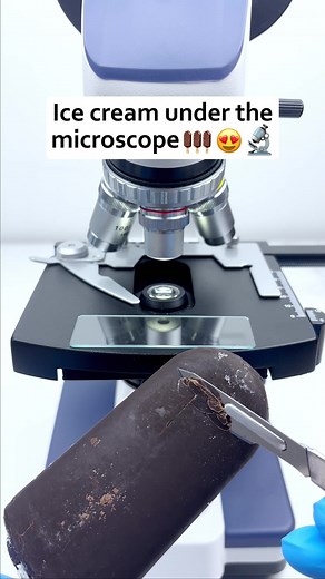 Ice Cream Under a Microscope: A Closer Look