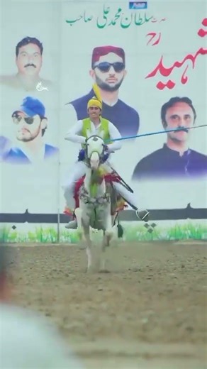 Golden boy champion 🏆 of pakistan #mumtazlashari #horseriding #equestrianjourney #horse