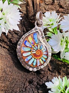 Multi Shade Ammonite Fossil Sterling Silver Pendant Necklace Length 2.5 Inches Width 2 Inches - Etsy