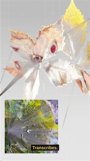 This Free AI Replaces Meeting Notes