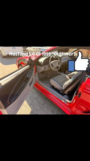 California Import on Reels