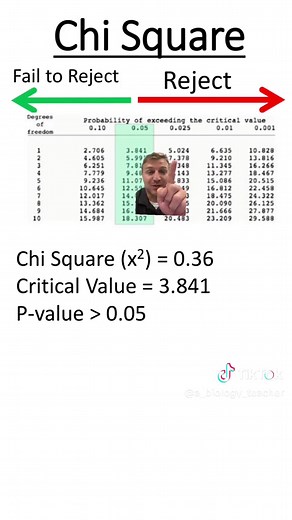 Chi-Square Test Practice Problem Explained