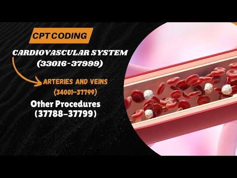 28. Arteries and Veins (34001-37799) I Other Procedures (37788-37799) I