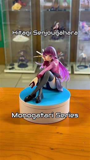 Hitagi Senjougahara from Monogatari Series #hitagi #hitagisenjougahara #monogatariseries #animegirl