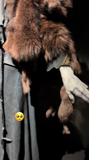 When I catch you victor.. imma fight you …. The creature is too precious and he 🤨 #frankensteinsmonster #frankenstein #guillermodeltoro #jacobelordi