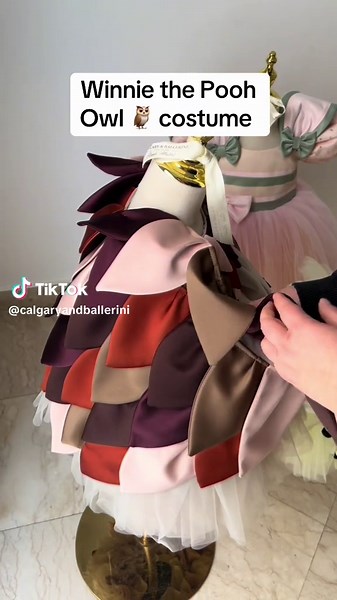 Winnie the Pooh Inspired Custom Owl Costume