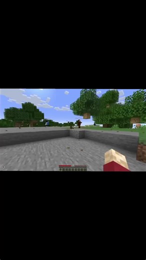 Grian's Flying Adventure in Minecraft