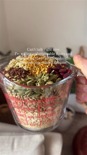 I’ve been making this wildly nourishing bread nonstop lately... It’s so good, and good for you! Very high in fiber, protein, micronutrients, and antioxidants. Real foods like this are foundational to the creative life. You need strong energy, a body that feels good, and a clear mind. No starving artists here. → Look two posts back to see my video with more of the process and grab my recipe! Every single ingredient brings so much to the table: • Whole grains like sprouted emmer berries (any wheat
