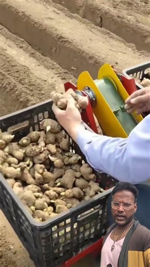 Modern Agriculture at Its Best